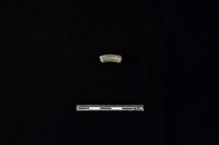 藏品(陶環)的圖片